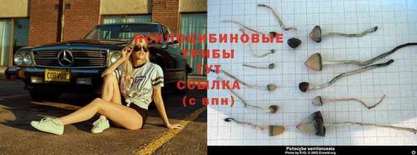 мет Надым
