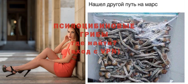 меф Архангельск